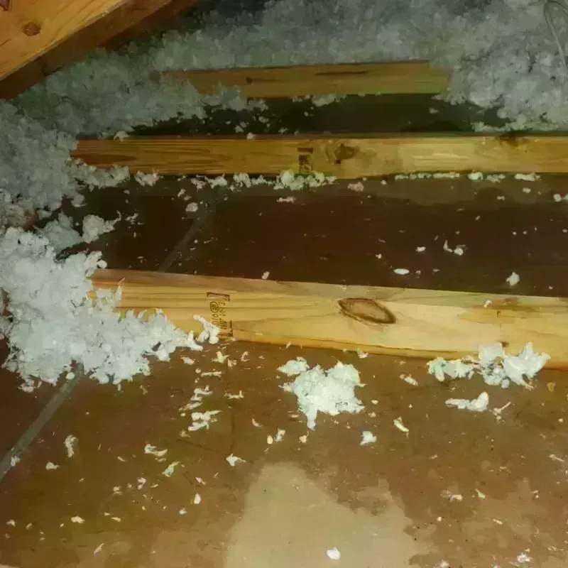 Attic Water Damage in Lawrenceville, NJ